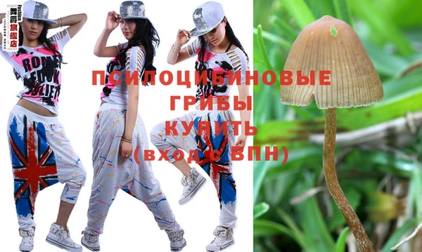 мяу мяу мука Кодинск