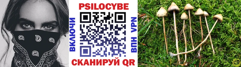 Купить где  Карпинск  Псилоцибиновые грибы ЛСД 